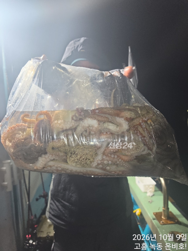 쎄븐피싱클럽(선상 버스출조전문)_사진_20261012_7.jpg