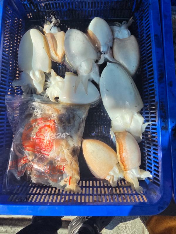 KakaoTalk_20261017_184317055_06 (1).jpg