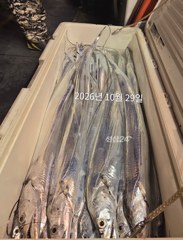 DB015007-CCAF-4BE2-AB88-C2CBCA702408.jpeg