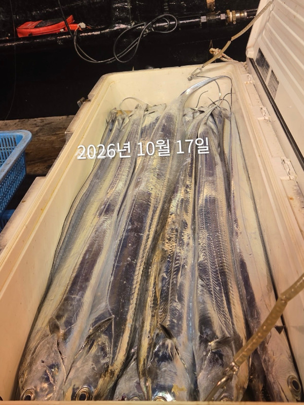 770763FF-29A2-442F-9FAB-C70C99DF1D40.jpeg