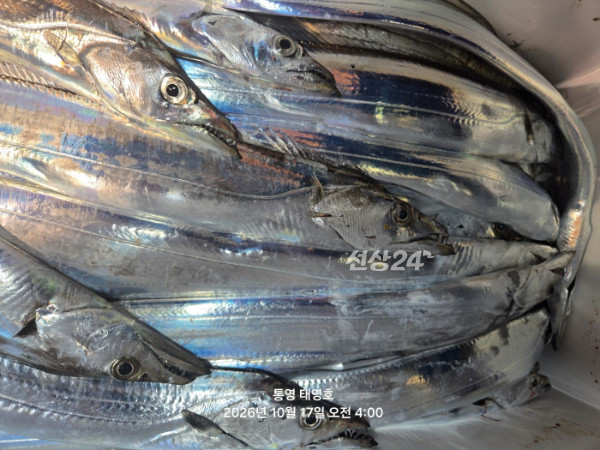 KakaoTalk_20261017_062519307_04.jpg