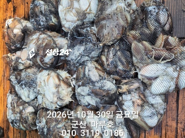 KakaoTalk_20261030_163940516_09.jpg