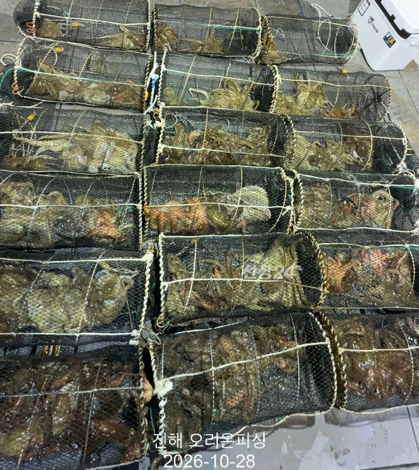 KakaoTalk_20261028_073629618_14.jpg