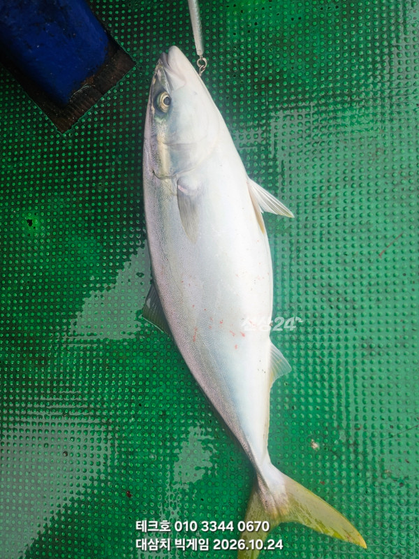 KakaoTalk_20261024_084245600.jpg