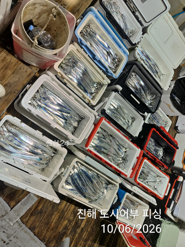 KakaoTalk_20261006_045311778_10.jpg