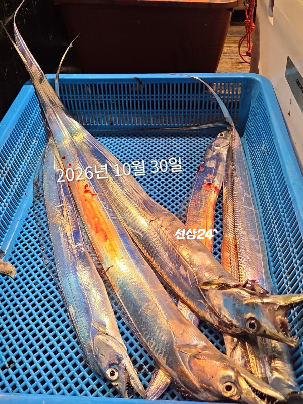 0665D277-29EA-4A9F-A6E7-82A8EEDE4721.jpeg