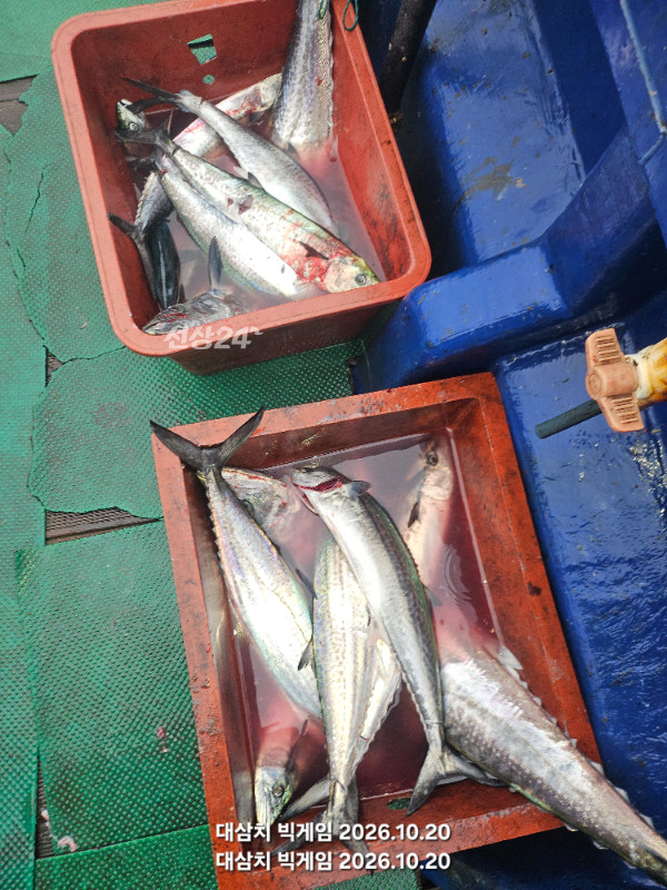 KakaoTalk_20261020_083152013_08.jpg