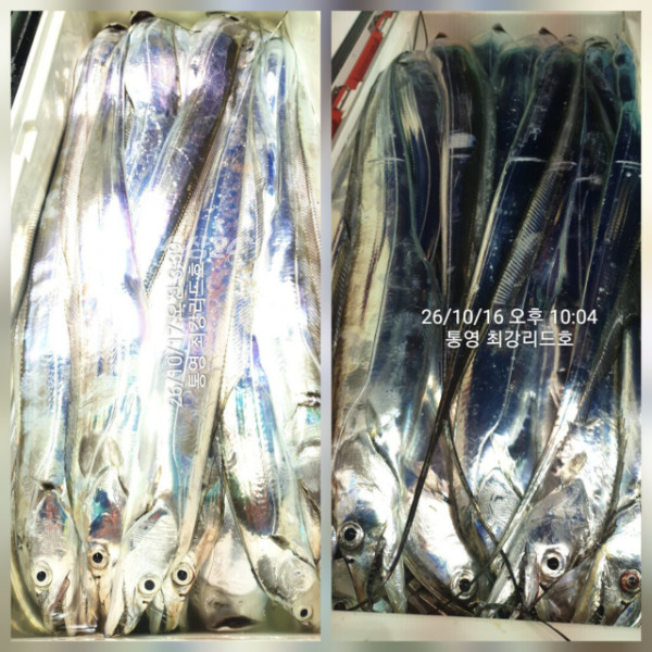 KakaoTalk_20261017_212137995_11.jpg