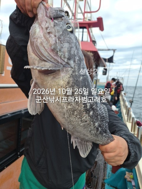KakaoTalk_20261025_175724668_18.jpg