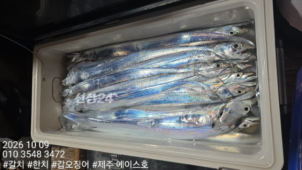 KakaoTalk_20261009_121551345_12.jpg