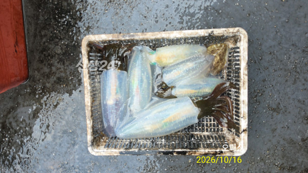 42945.jpg