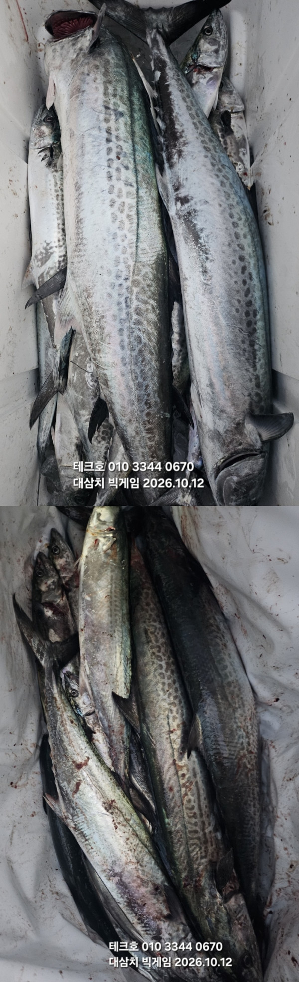 KakaoTalk_20261012_181612680_10-vert.jpg