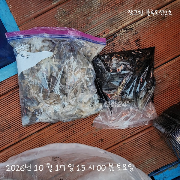 1000018844.jpg