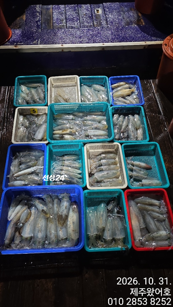 제주왔어호_사진_20261031_2.jpg