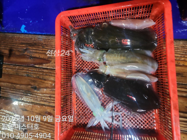 KakaoTalk_20261009_032626345_11.jpg