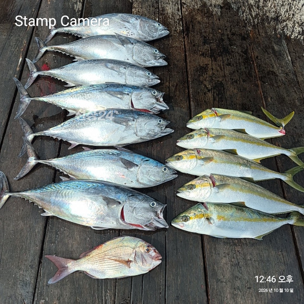 StampCamera20261010124633.jpg