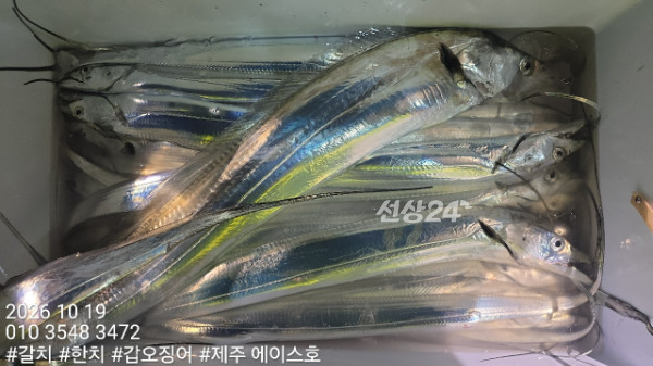 KakaoTalk_20261019_132436958_11.jpg