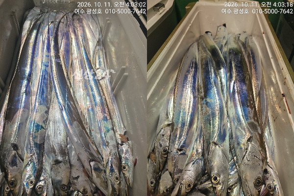 이미지.jpeg