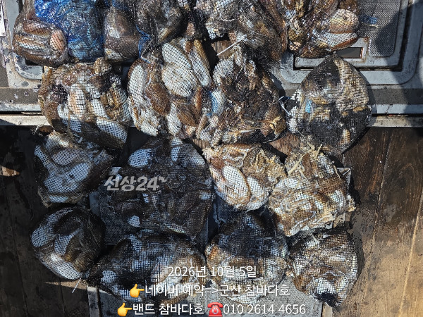 1000005576.jpg