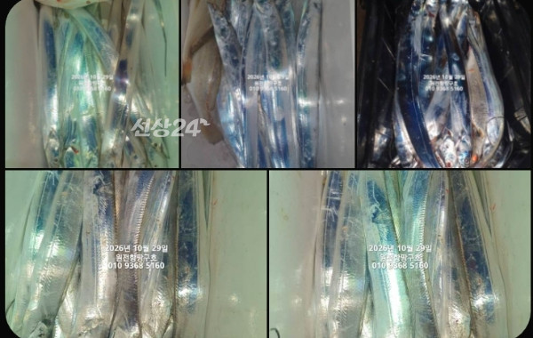 KakaoTalk_20261029_154021474.jpg