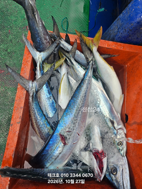KakaoTalk_20261027_113341289_02.jpg