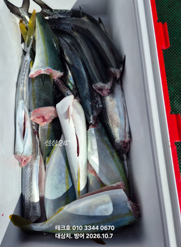 KakaoTalk_20261007_123823056_05.jpg