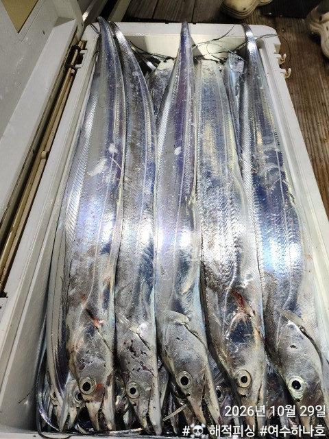 KakaoTalk_20261029_083303289_01.jpg