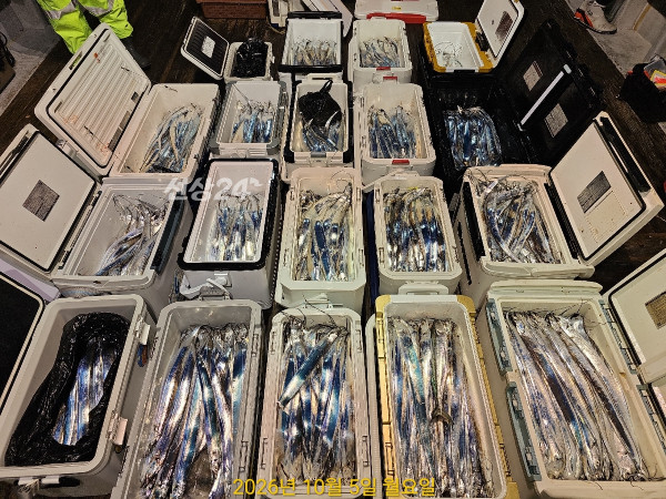 1981FE8E-B6FD-4C0D-A345-BF96231A8D85.jpeg