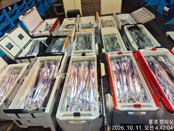1000084295.jpg