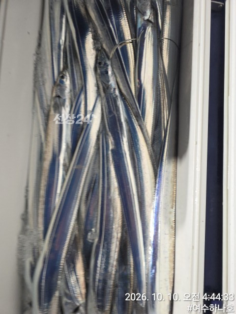 1791594036827.jpg