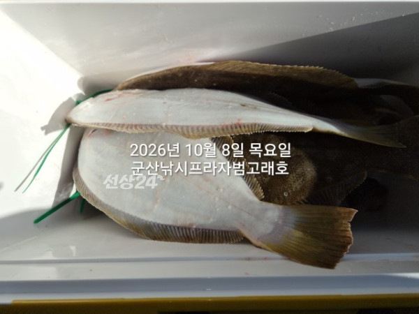 KakaoTalk_20261008_163832700_02.jpg
