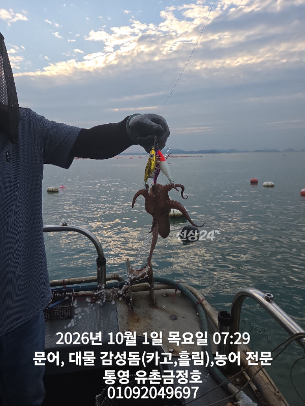 1000061398.jpg