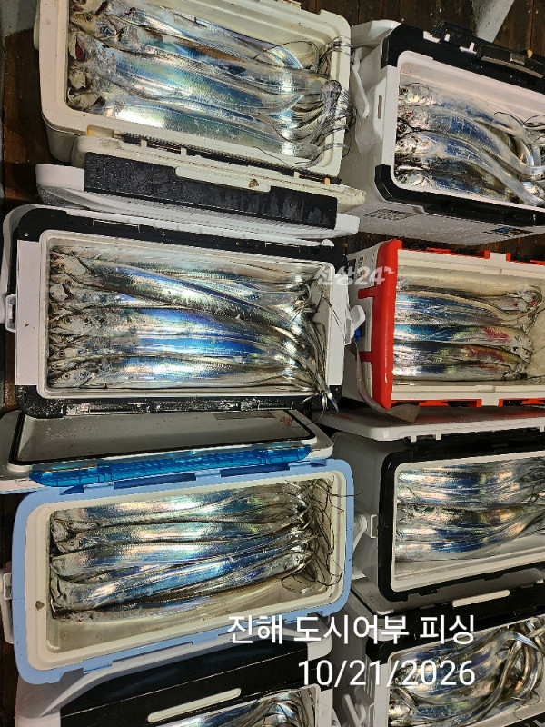 KakaoTalk_20261021_040550071_14.jpg