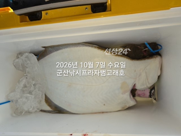 KakaoTalk_20261007_165339584_01.jpg