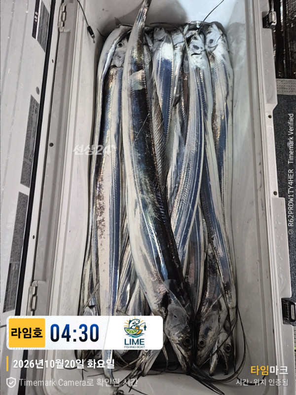 KakaoTalk_20261020_085945175_10.jpg
