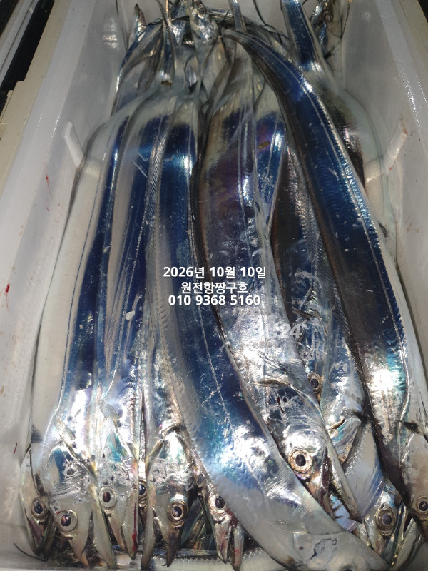 KakaoTalk_20261010_060125117_02.jpg