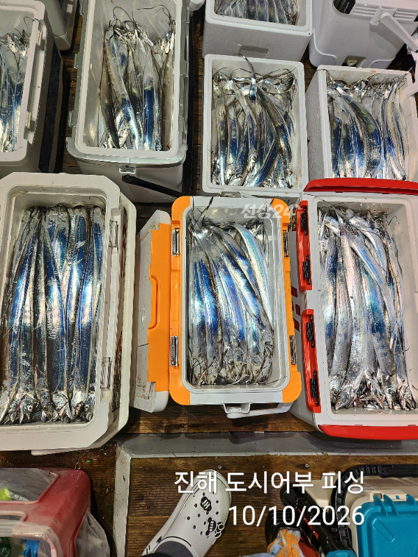 KakaoTalk_20261010_043600356_12.jpg