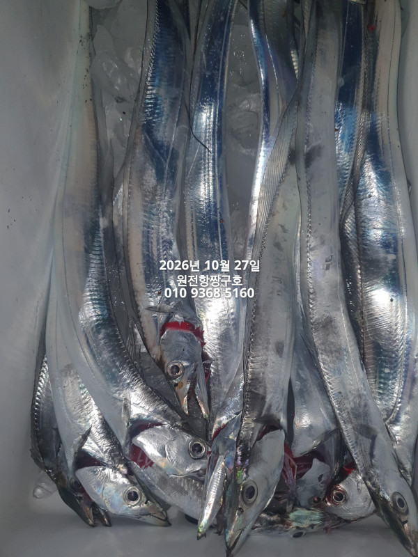 37767.jpg