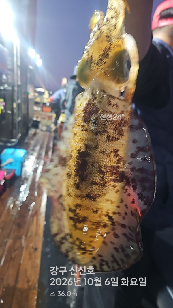 신신낚시 강구점 신신호_사진_20261007_4.jpg