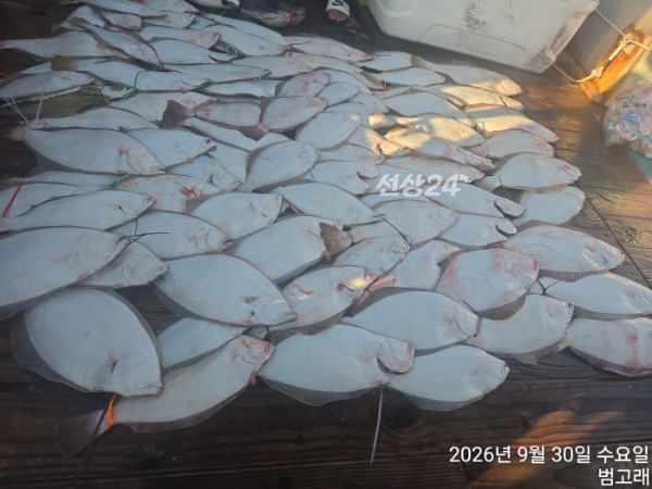 KakaoTalk_20260930_174913879_01.jpg