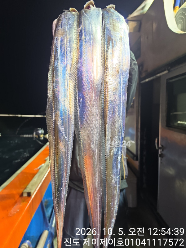 1000056179.jpg
