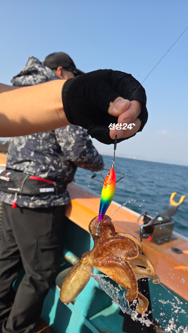 1000069585.jpg