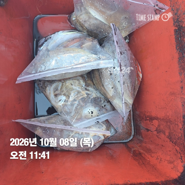 KakaoTalk_20261008_195803568_02.jpg