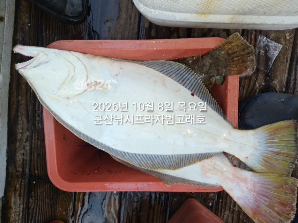 KakaoTalk_20261008_163832700.jpg