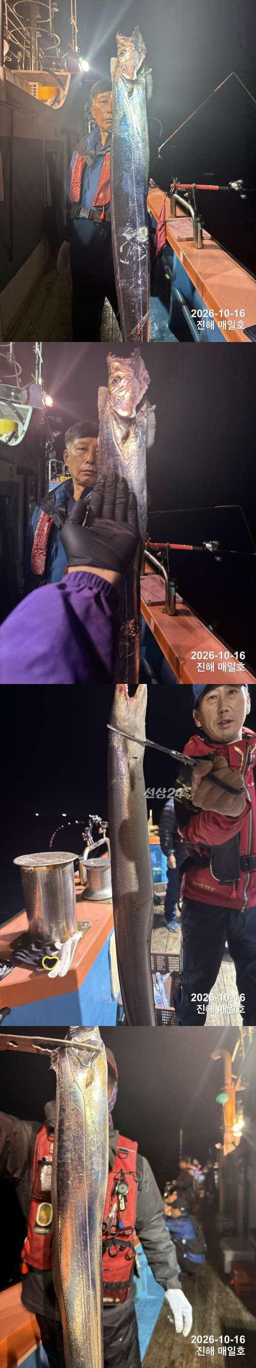 갈치1.jpg