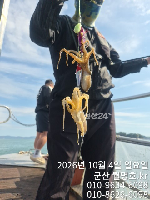 18076.jpg