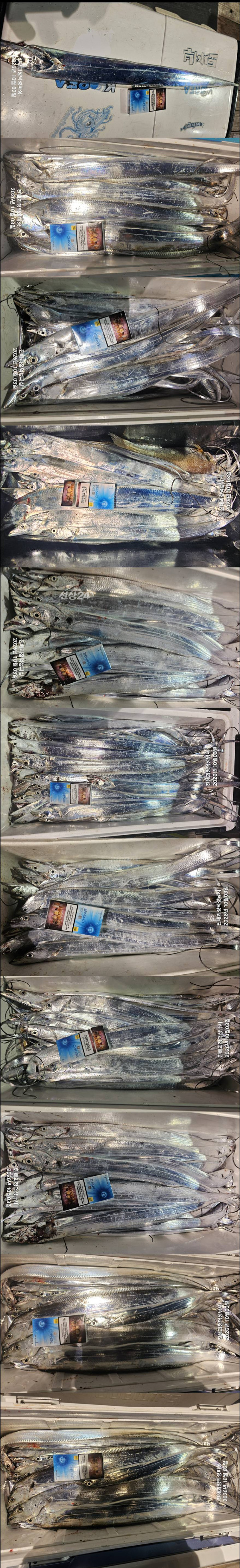 1000082840.jpg