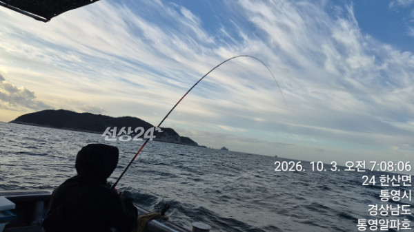 61749.jpg