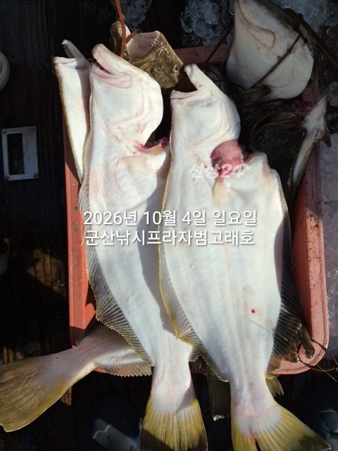 KakaoTalk_20261004_155855857_07.jpg