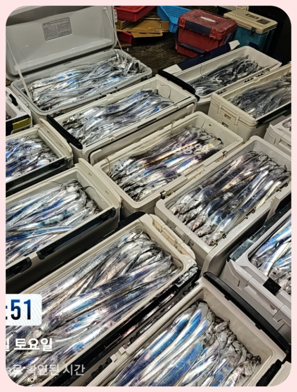 KakaoTalk_20261017_075715078_17-tile.jpg